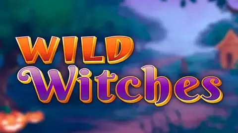 Wild Witches656