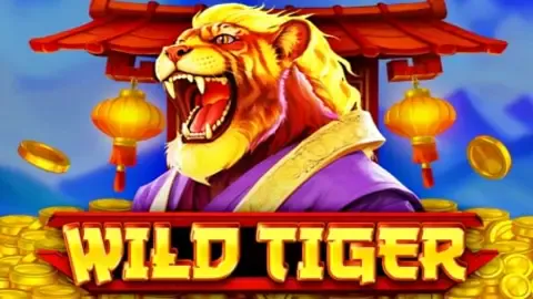 Wild Tiger slot logo
