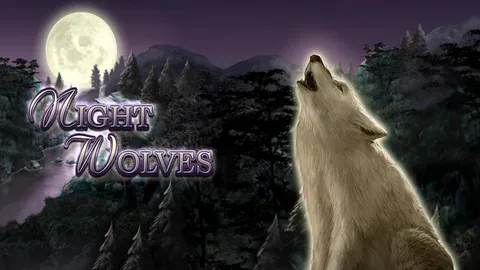 Night Wolves172