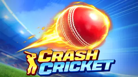 Crash Cricket game logo