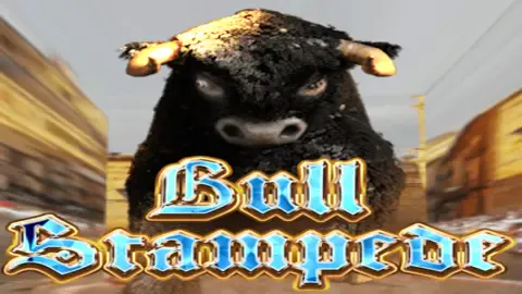 Bull Stampede92