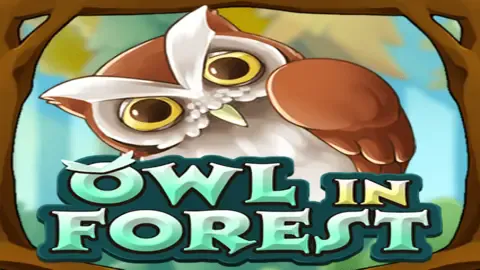 Owl In Forest308