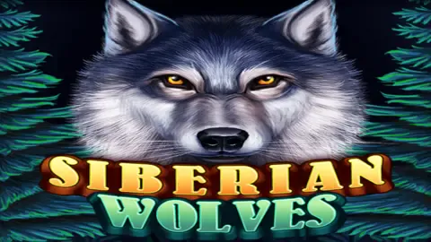 Siberian Wolves933