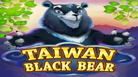 Taiwan Black Bear800