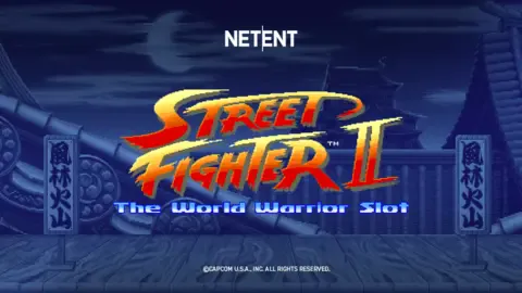 Street Fighter II: The World Warrior31