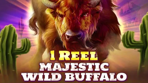 1 Reel – Majestic Wild Buffalo