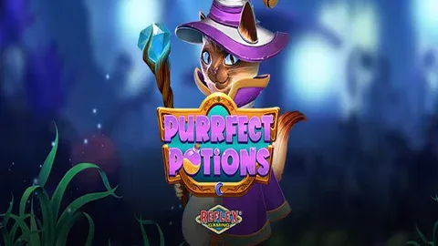 Purrfect Potions