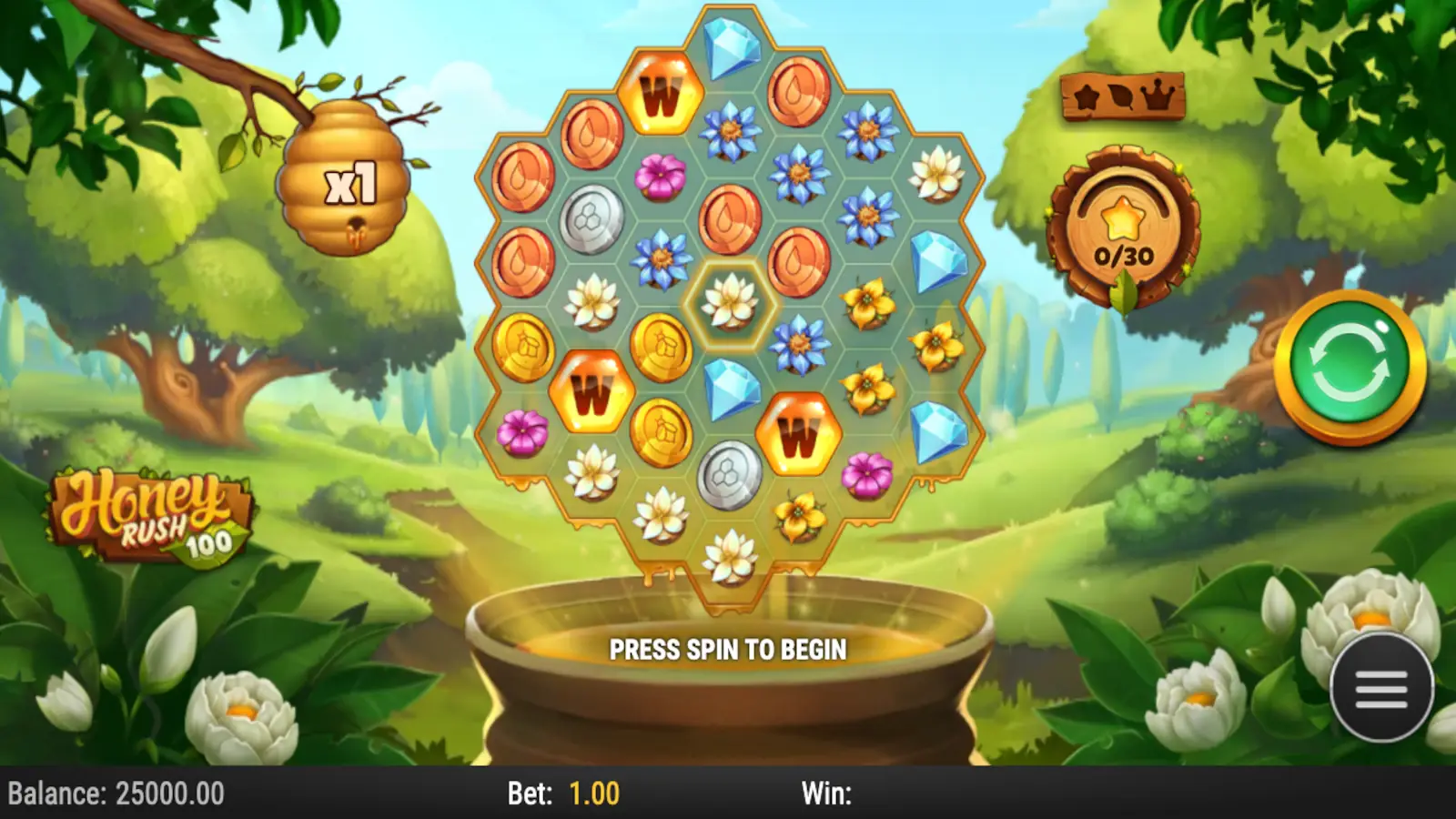 Honey Rush 100 Slot Rules and Gameplay