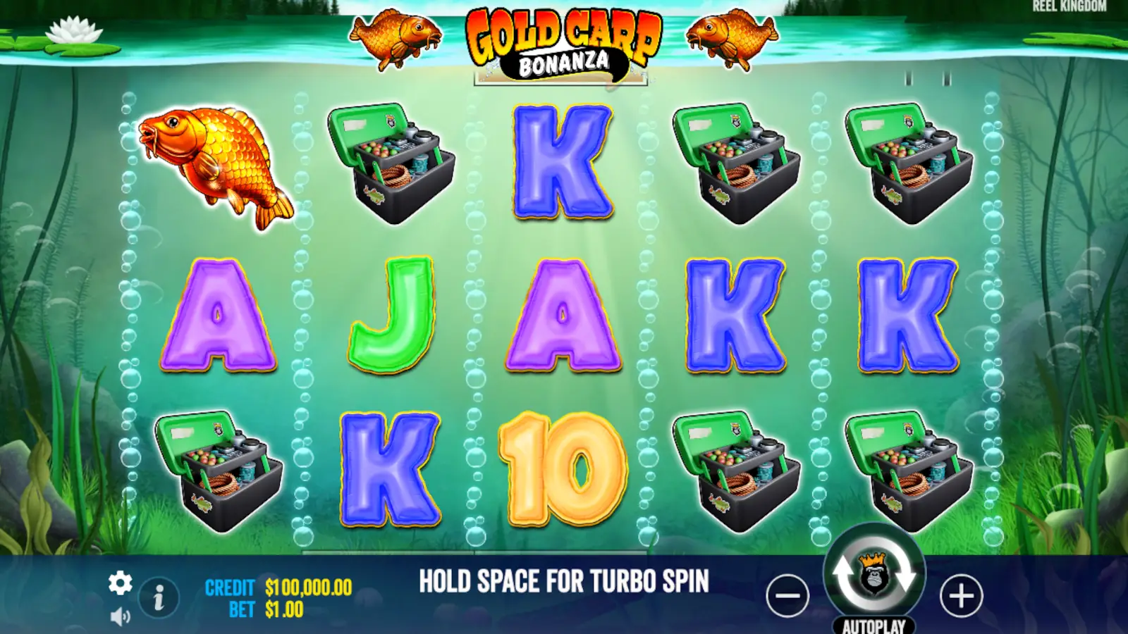 Gold Carp Bonanza Slot Rules and Gameplay