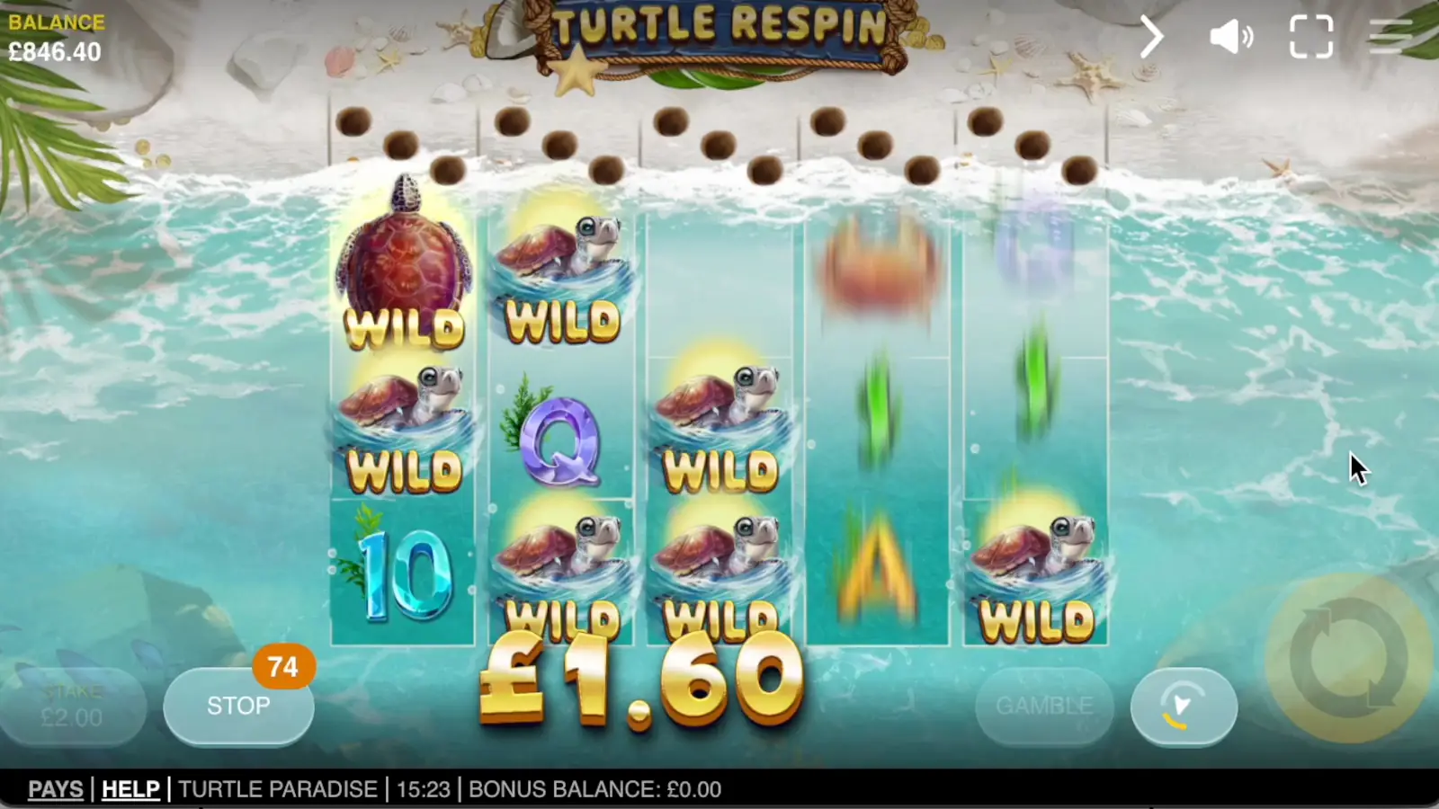 Turtle Paradise Slot Turtle Respins