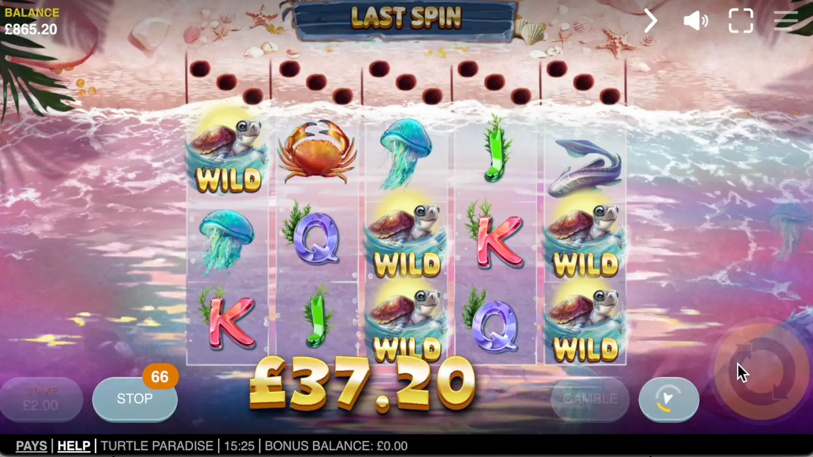 Turtle Paradise Slot Free Spins